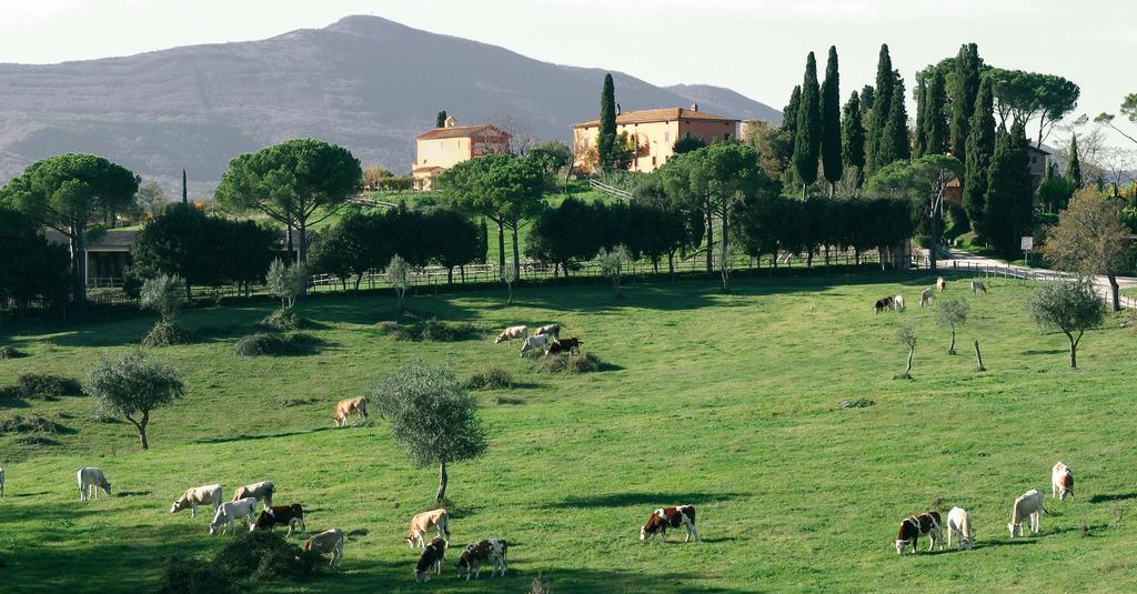 Poggiovalle Tenuta Italiana Belvedere  Exterior foto